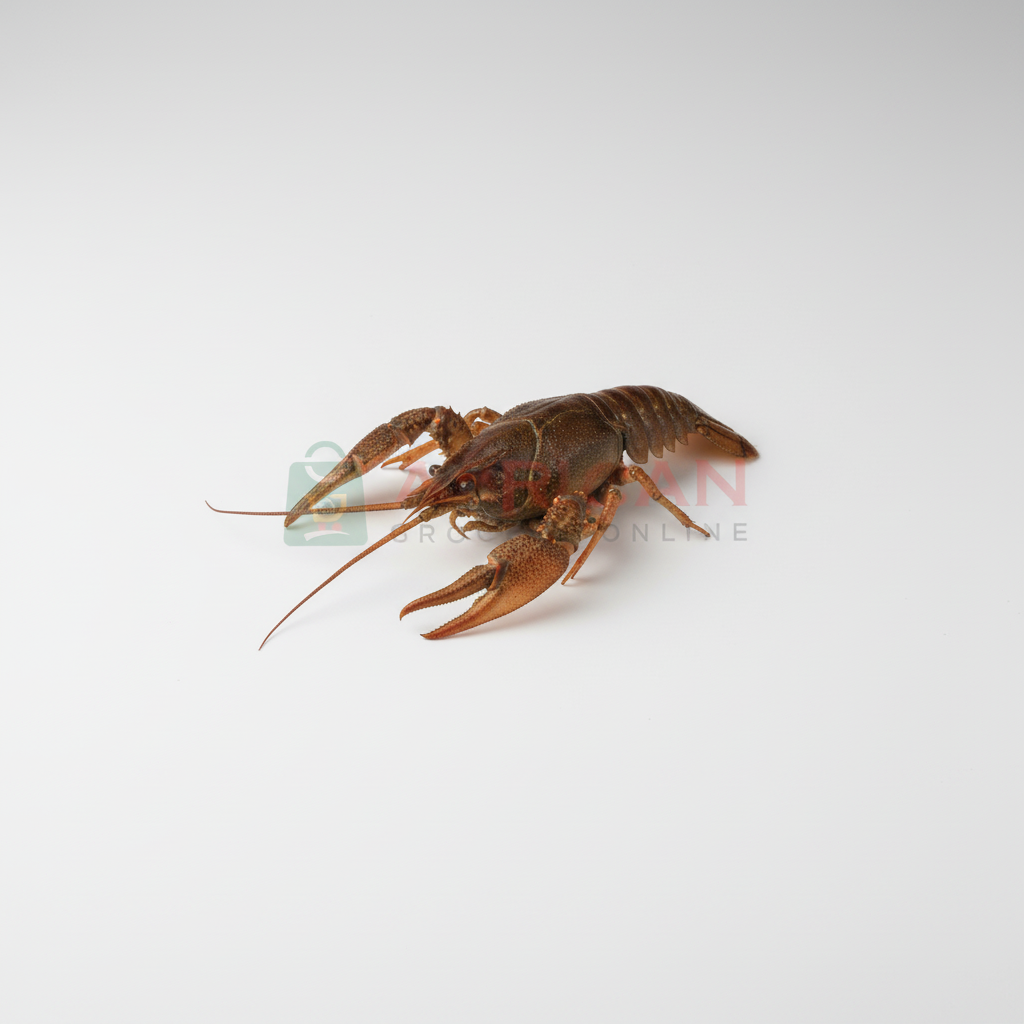 BROWN CRAYFISH FROZEN