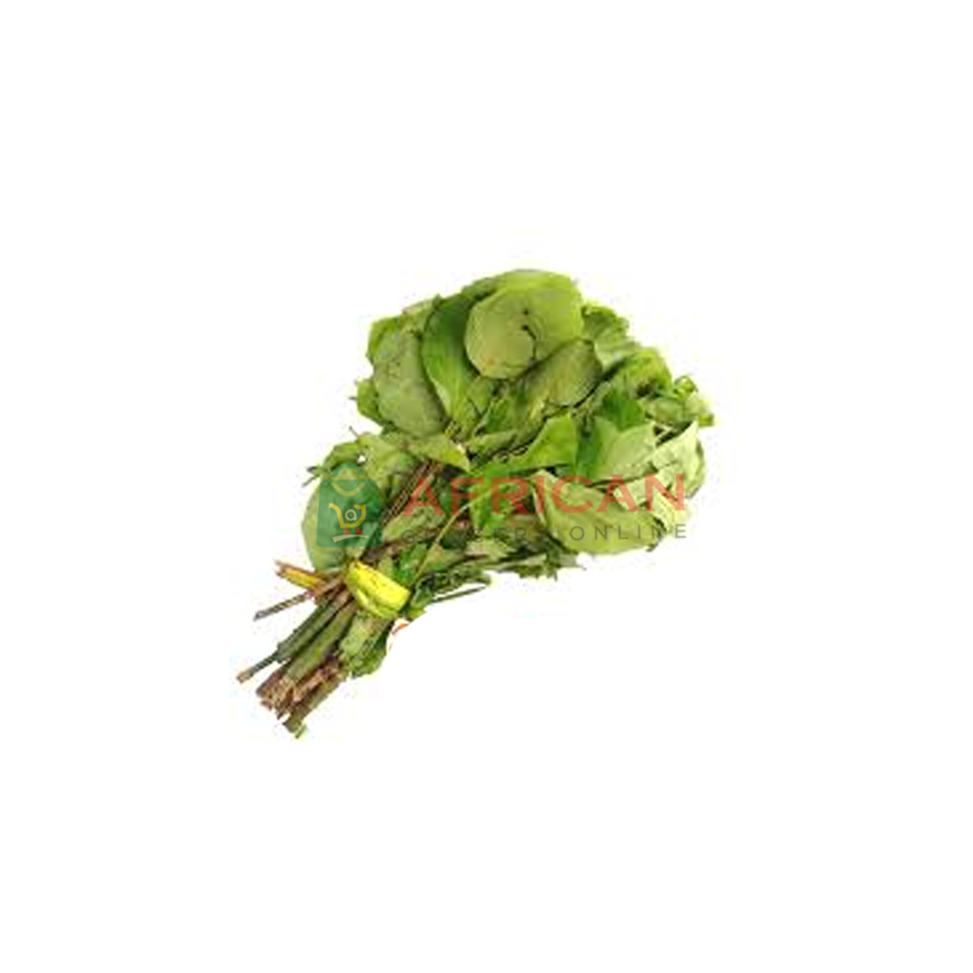 OHA LEAF