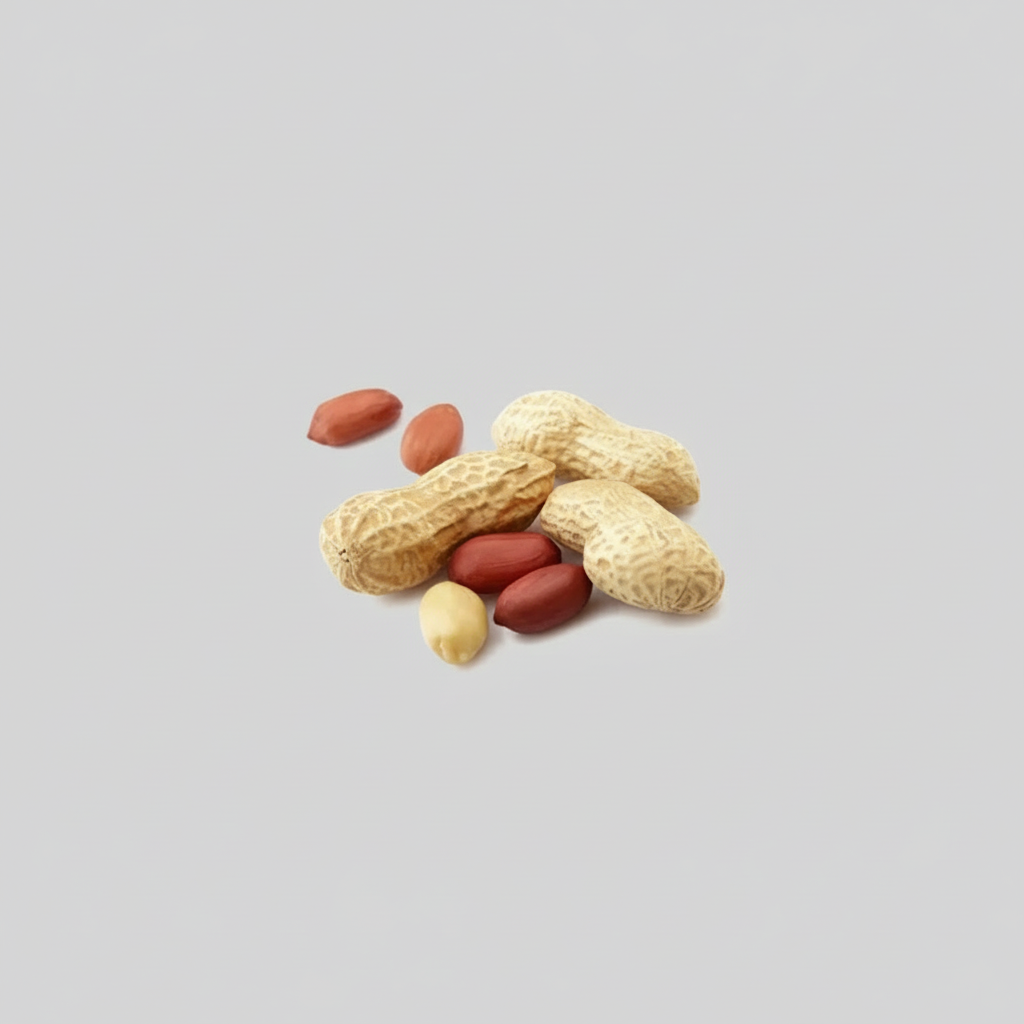 A collection of peeled beans, including kidney beans and nuts, on a white background.
