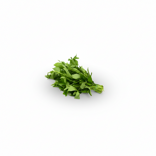 A fresh bunch of BitrLeaf herbs with a visible brand logo in the top right corner.