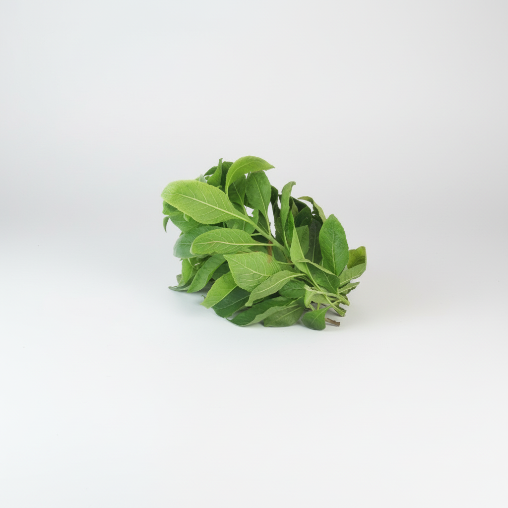 A fresh bunch of African bitter leaf, with green leaves and a stem.