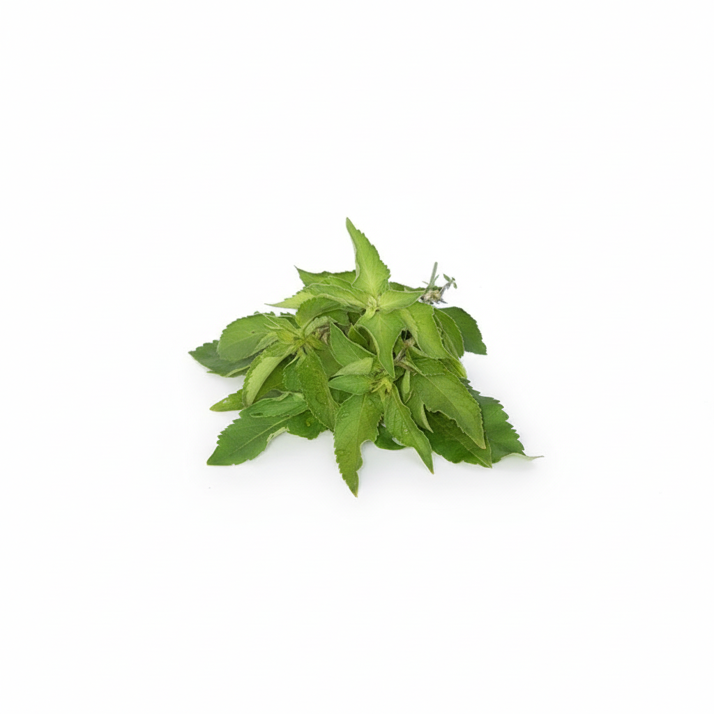 A fresh bunch of fever leaves with a green and leafy appearance, isolated on a white background with a watermark that says 'African Grocery Online'.