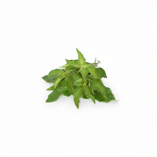 A fresh bunch of fever leaves with a green and leafy appearance, isolated on a white background with a watermark that says 'African Grocery Online'.