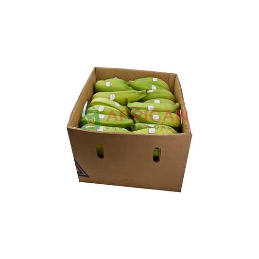 PLANTAN BOX