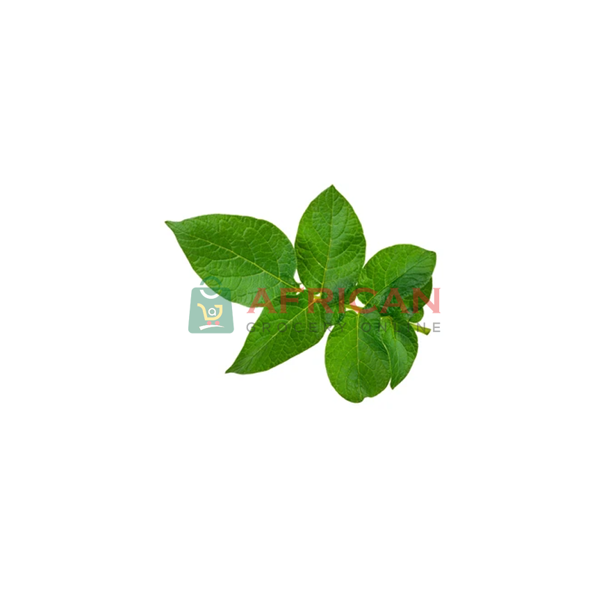POTATO LEAVES BIG