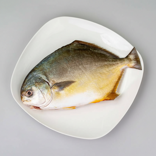 A whole raw fish, likely a pomfret or similar flatfish, displayed on a white plate against a textured light gray background.
