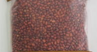 A clear plastic bag filled with small reddish-brown round beans or lentils, photographed against a plain light background.