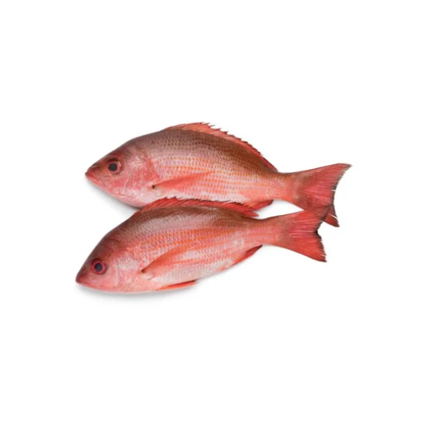 Smoked Red Frozen Snapper Fish