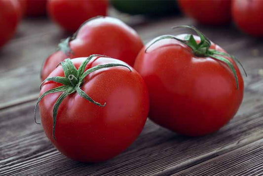 TOMATO FRESH